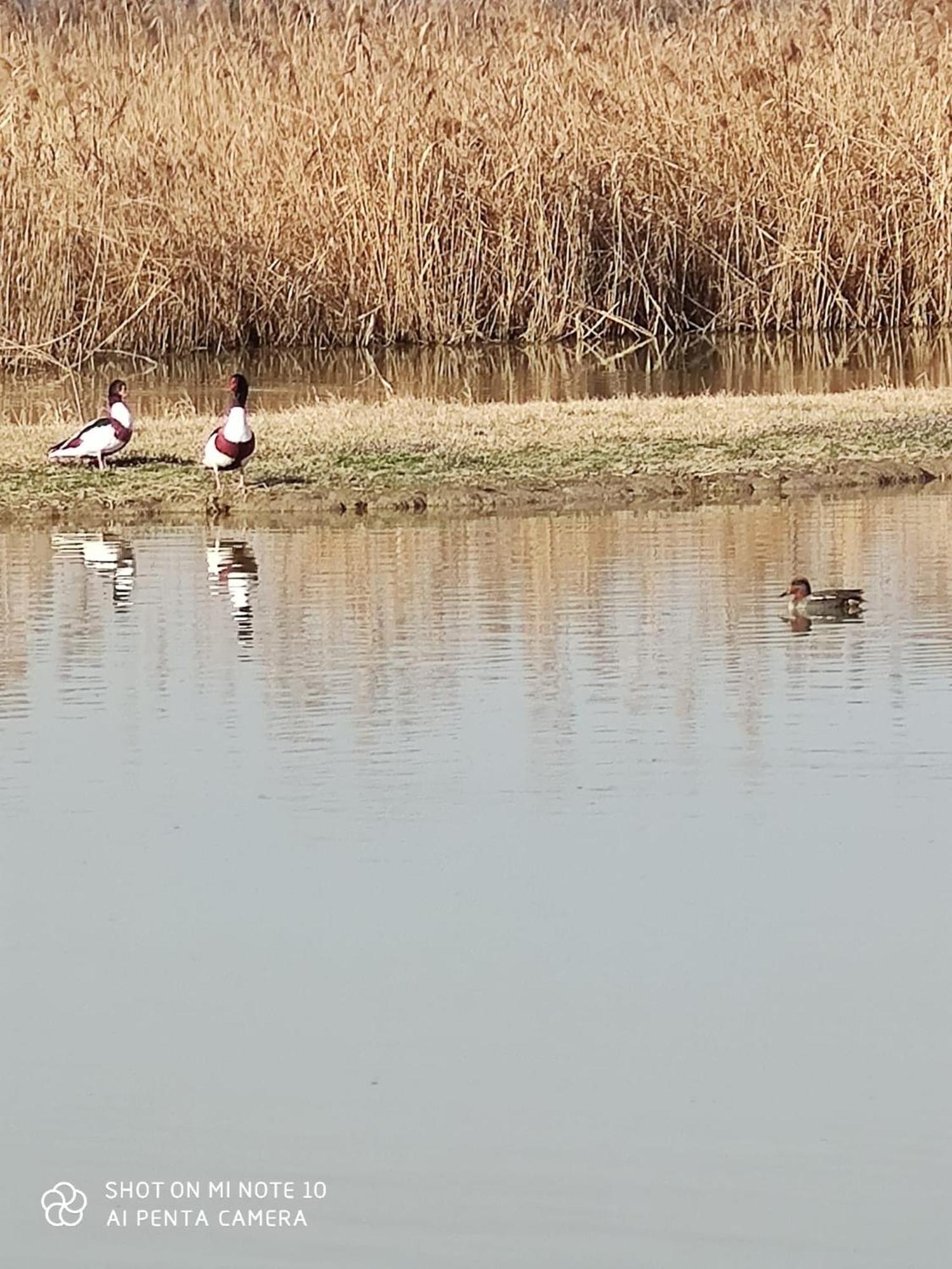 Agriturismo Venice Photobirding Тесера Екстериор снимка